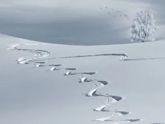 Snow
