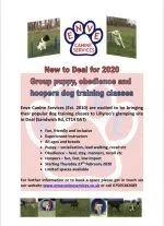 Enve Canine Services – Dog training