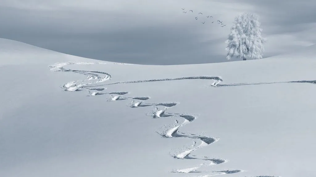 Snow